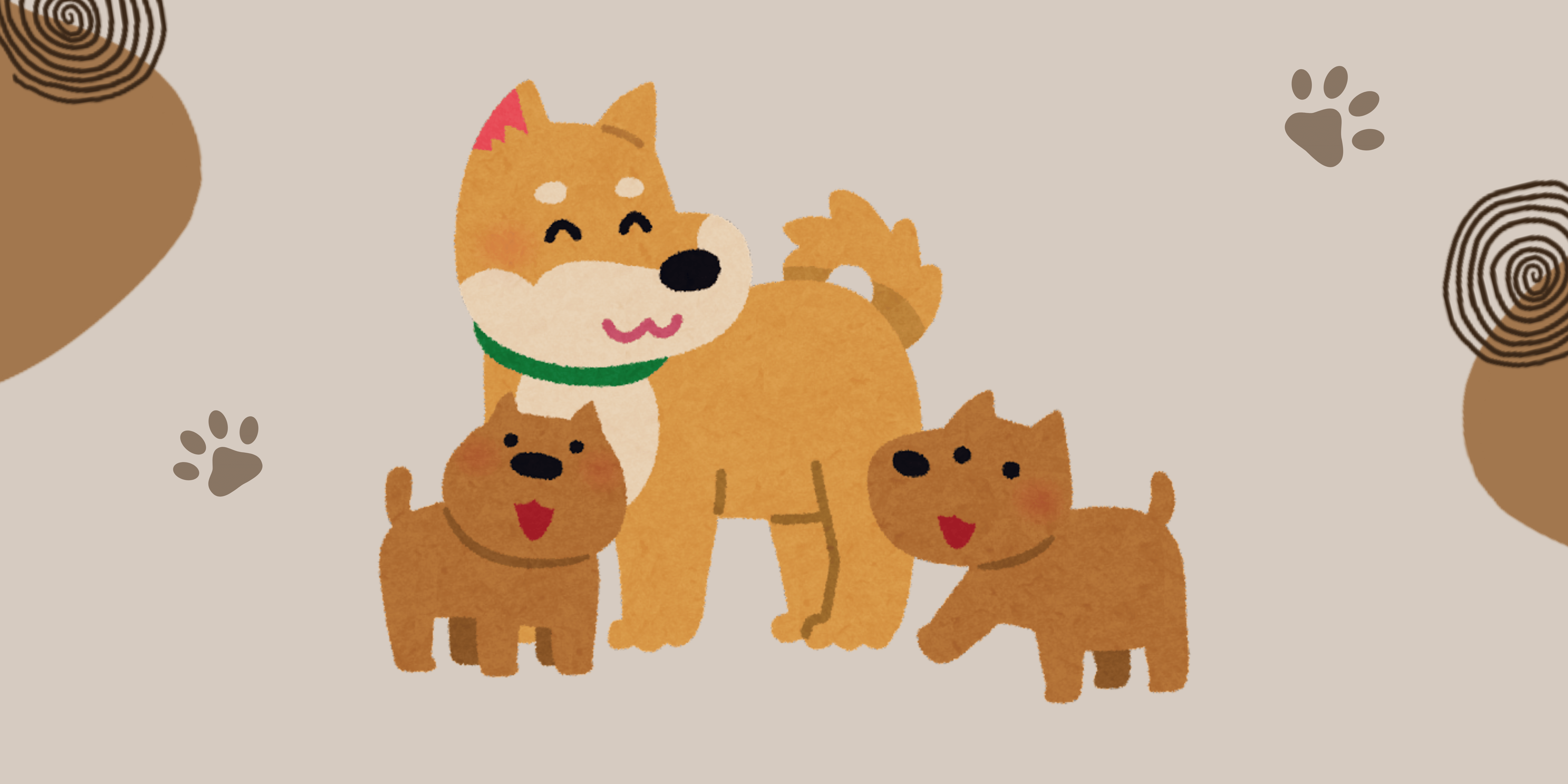 Shiba Inu Family - The Guide Dogs